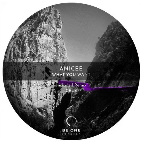 Anicée - What You Want (Cele Remix)