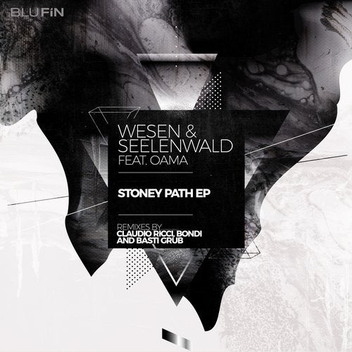 Markus Wesen, Seelenwald - Stoney Path feat. Oama (Claudio Ricci Remix)