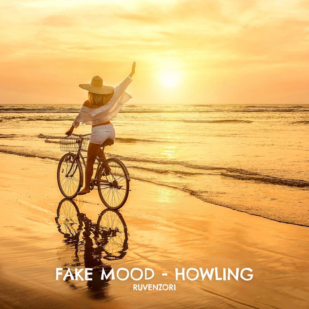 Fake Mood - Howling (Original Mix)