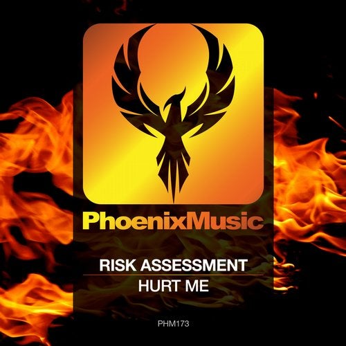 Risk Assessment - Hurt Me (Original Mix)