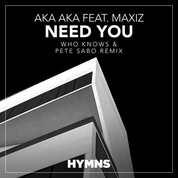 Aka Aka, Maxiz - Need You (Who Knows, Pete Sabo Extended Remix)