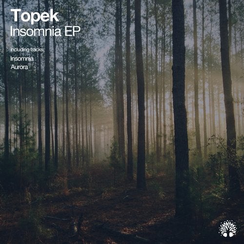 Topek - Insomnia (Original Mix)