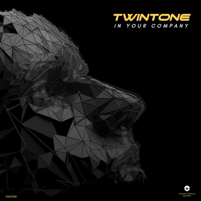 Twintone - Page Turner (Original Mix)