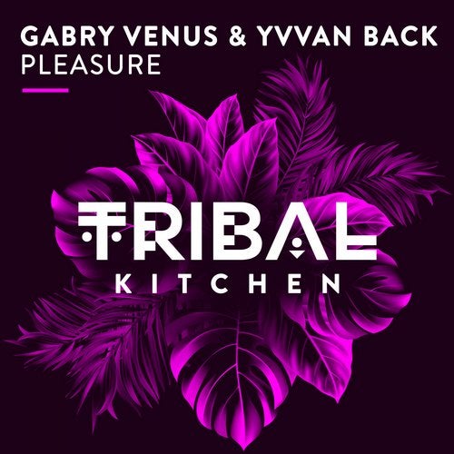 Gabry Venus, Yvvan Back - Pleasure (Original Mix)