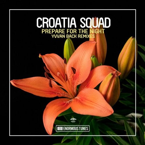 Croatia Squad - Prepare for the Night (Yvvan Back Remix)