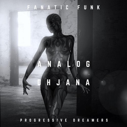 Fanatic Funk - Analog Dhjana (Original Mix)