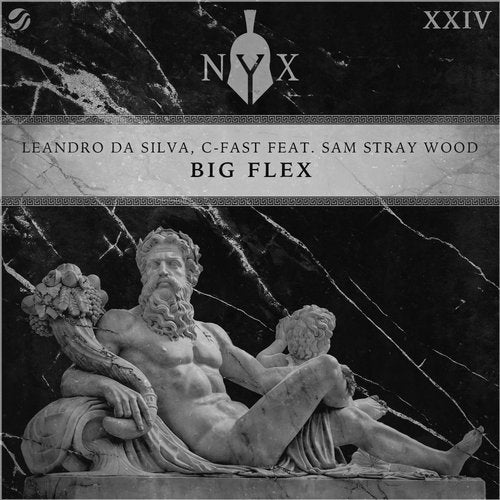 Leandro Da Silva, C-Fast Feat. Sam Stray Wood - Big Flex (Extended Mix)