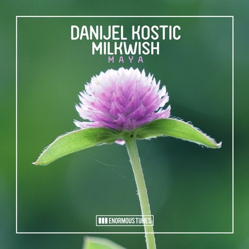 Milkwish, Danijel Kostic - Maya (Extended Mix)