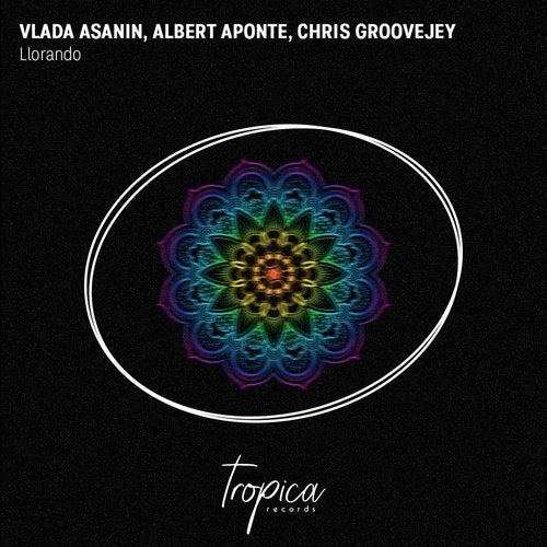 Vlada Asanin, Albert Aponte, Chris Groovejey - Llorando (Extended Mix)