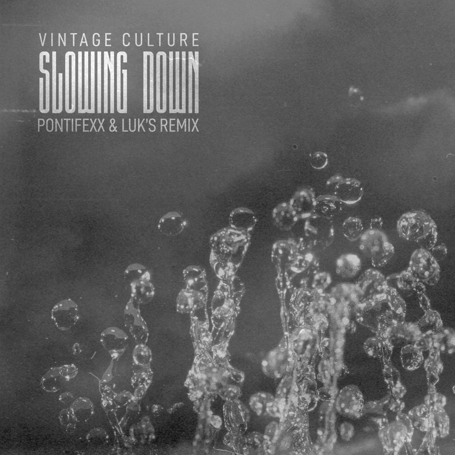 Vintage Culture - Slowing Down (Pontifexx & Luk's Remix)
