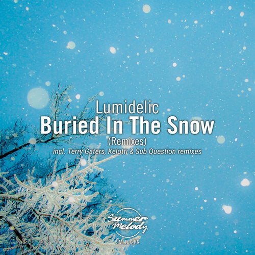 Lumidelic - Buried in the Snow (Terry Gaters Remix)
