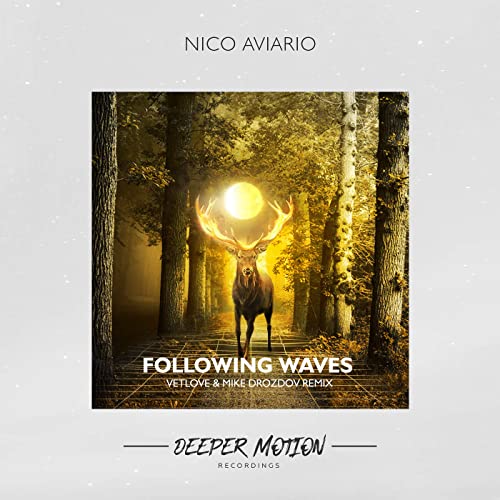 Nico Aviario - Following Waves (Mike Drozdov & VetLove Remix)