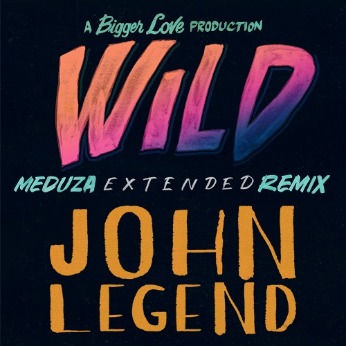 John Legend - Wild (Meduza Extended Remix)