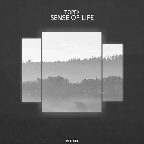 Topek - Sense of Life (Original Mix)