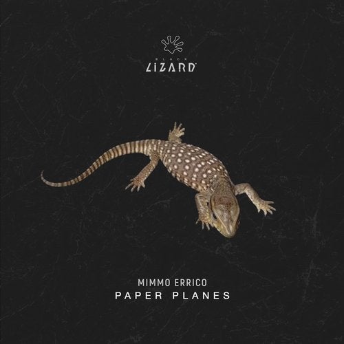 Mimmo Errico - Paper Planes (Extended Mix)
