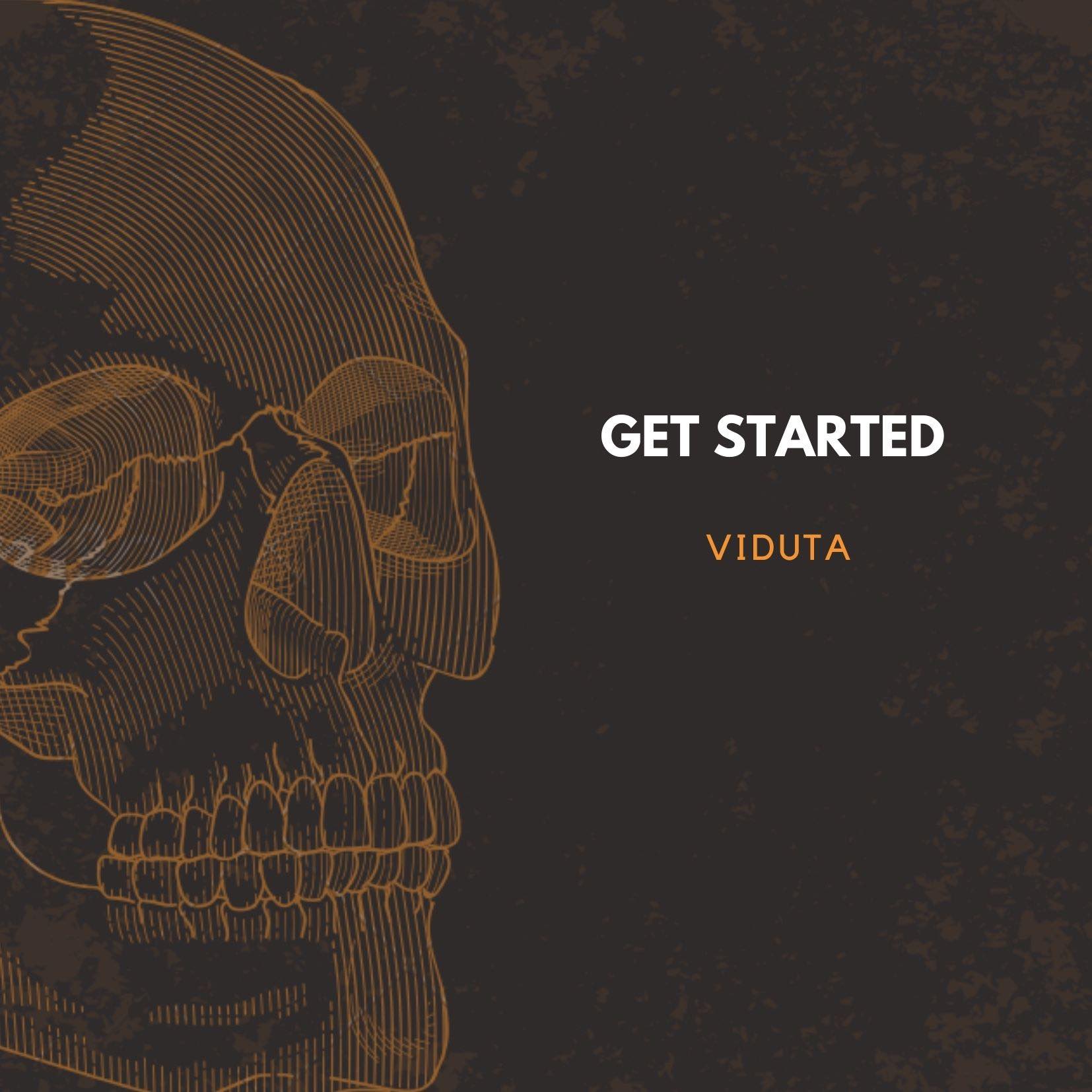 Viduta - Get Started