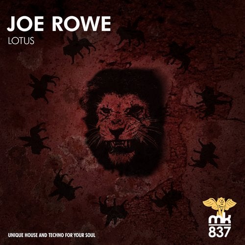 Joe Rowe - Lotus (Original Mix)