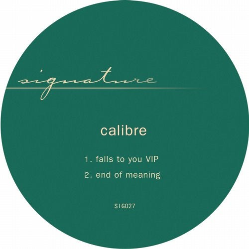 Calibre - Falls To You VIP (Original Mix)