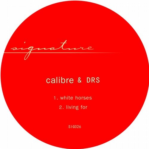 Calibre, DRS - Living For (Original Mix)