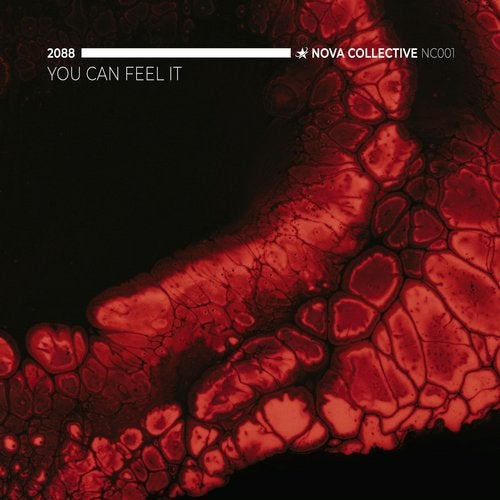 2088 - You Can Feel It (Original Mix)