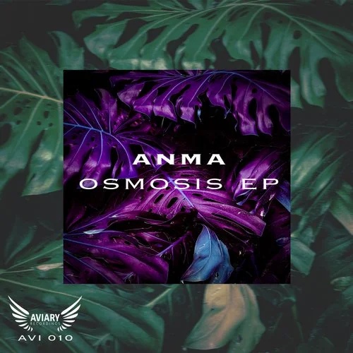 ANMA - Osmosis (Original Mix)
