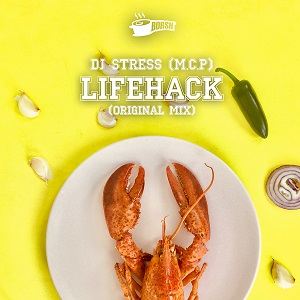 DJ Stress (M.C.P) - Lifehack (Original Mix)