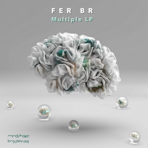 Fer BR - Bring Me (Original Mix)