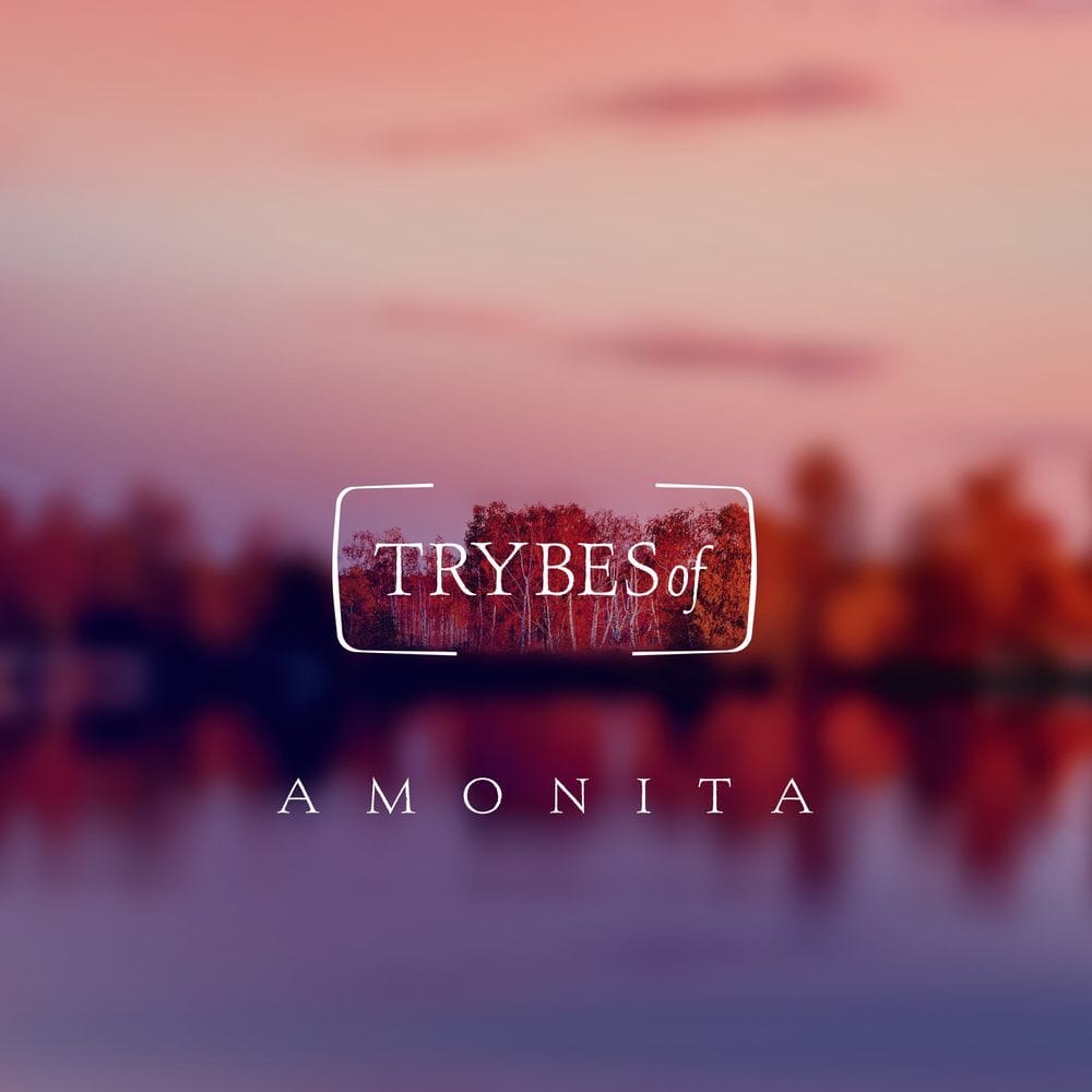 Amonita - Breathe (Original Mix)