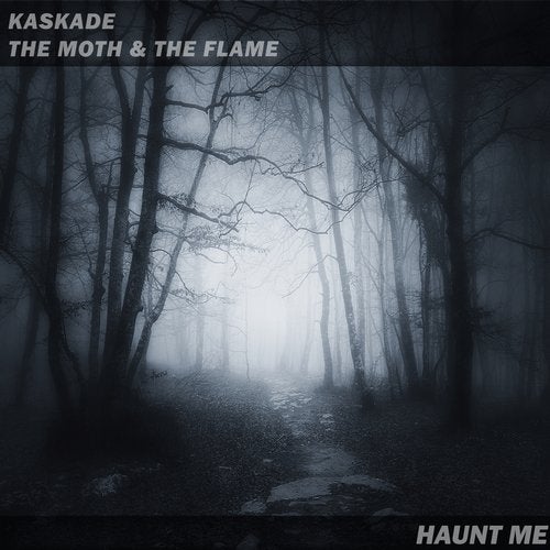 Kaskade x The Moth & The Flame - Haunt Me (Original Mix)