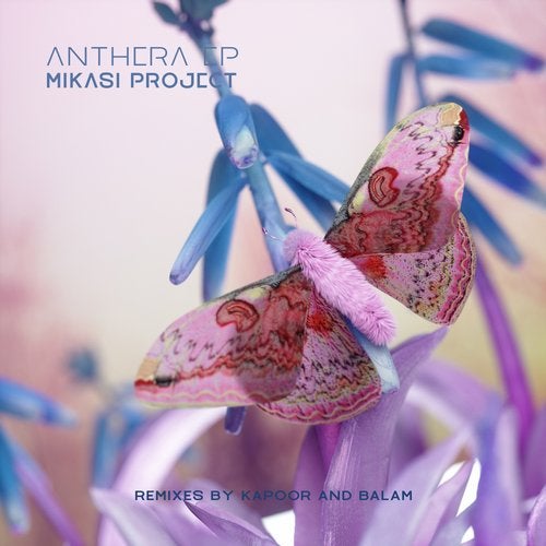 Mikasi Project - Anthera (Kapoor Catching Sun Remix)