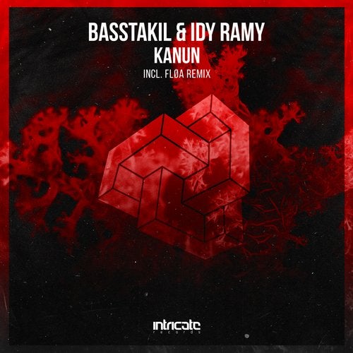 Basstakil, Idy Ramy - Kanun (Fløa Remix)