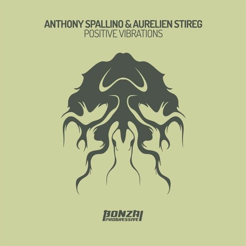 Aurelien Stireg & Anthony Spallino - Positive Vibrations (Original Mix)