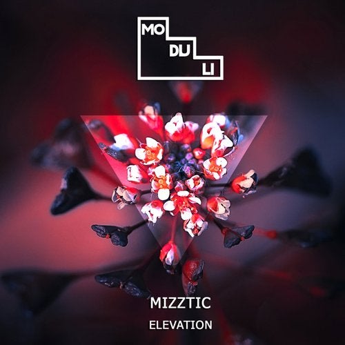 Mizztic – Elevation (Original Mix)