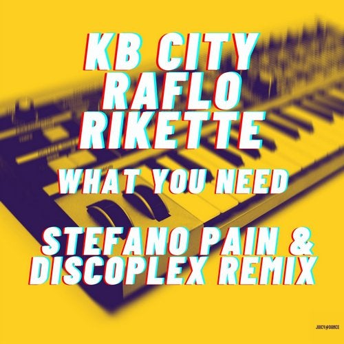 KB City & Raflo & Rikette - What You Need (Stefano Pain & Discoplex Extended Remix)