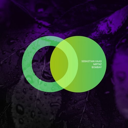 MRTNZ, Sebastian Haas - Nexum (Original Mix)