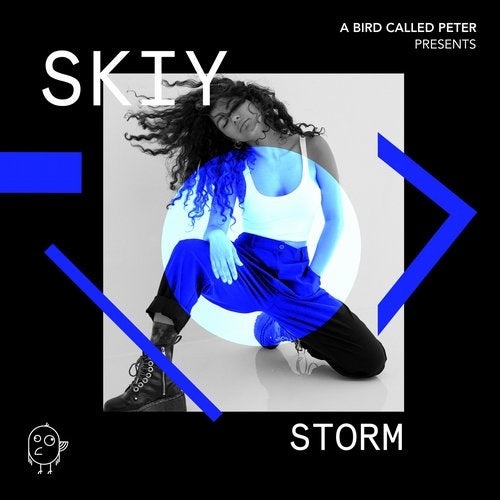 Skiy - Storm (Extended Mix)