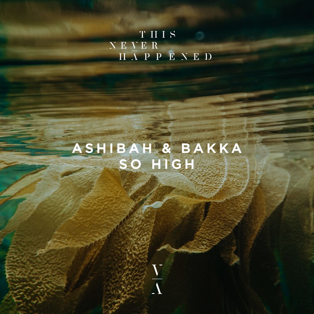 Ashibah x BAKKA - So High (Extended Mix)