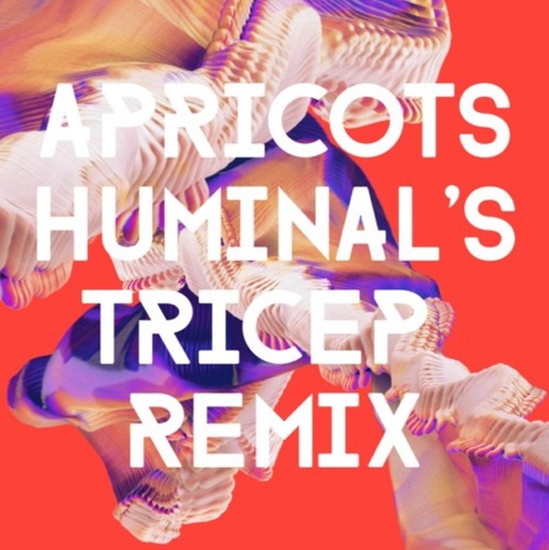 Bicep - Apricots (Huminal's Tricep Remix)