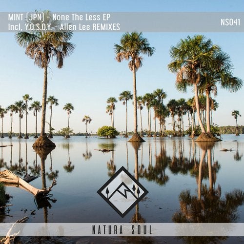 MINT (JPN) - Digital Bug (Original Mix)