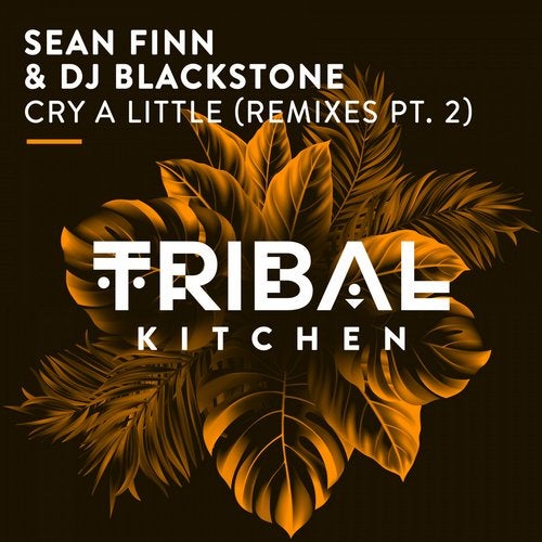 Sean Finn & DJ Blackstone - Cry A Little (DJ Blackstone Remix)