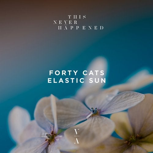 Forty Cats - Elastic Sun (Original Mix)