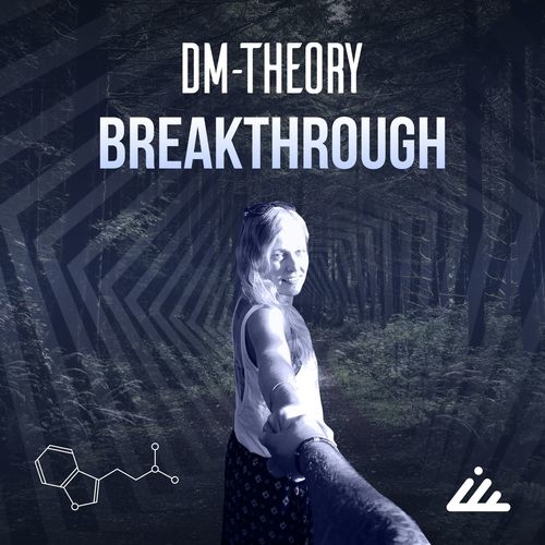 DM-Theory - Hypnotic Witch (Original Mix)