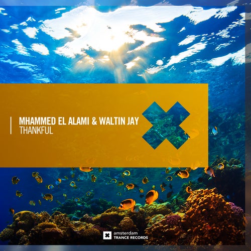 Mhammed El Alami & Waltin Jay - Thankful (Dub)