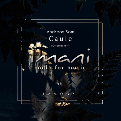 Andreas Sam - Caule (Original Mix)