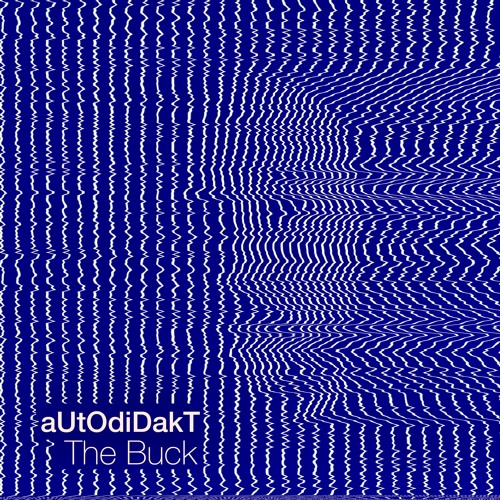 aUtOdiDakT - The Buck (Heerhorst Remix)