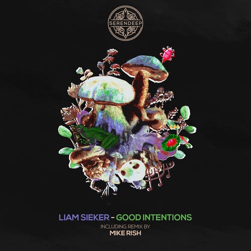 Liam Sieker - Good Intentions (Original Mix)