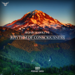 Ronin Hawkeye - Rhythm Of Consciousness 001