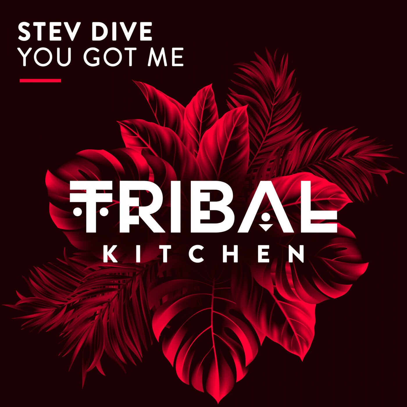 Stev Dive - You Got Me (Original Mix)