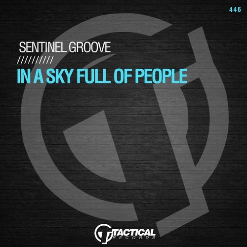 Sentinel Groove - In A Sky Full Of People (Original Mix)