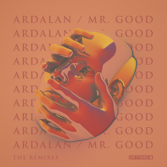 Ardalan feat. Party Patty - Mr. Good (German Brigante Remix)